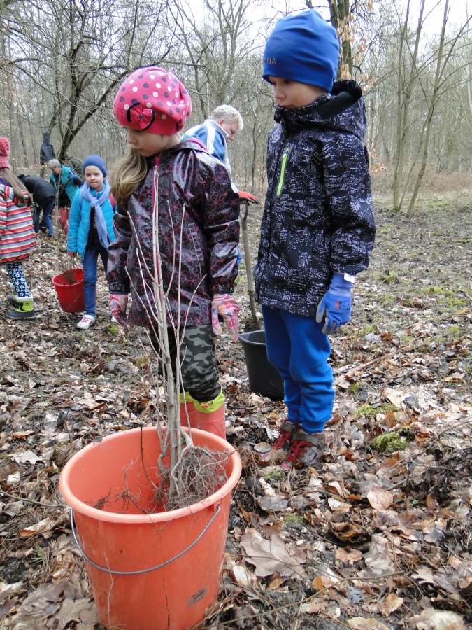 Dzieci aktywnie uczestniczyły w sadzeniu. Fot. Justyna Górecka