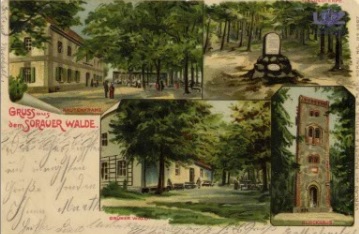 Archivpostkarte mit Grüßen aus dem Grünen Wald. Quelle: Sammlung der Bibliothek der Universität  Zielona Góra.