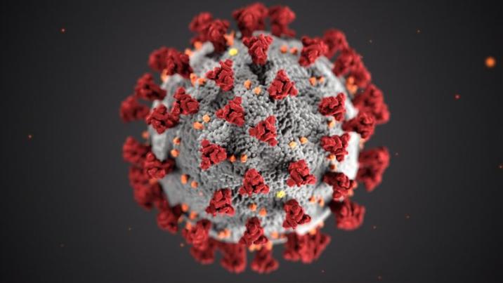 Koronawirus&#x2c;&#x20;czyli&#x20;COVID-19&#x2e;&#x20;Zdjęcie&#x20;autorstwa&#x20;Centers&#x20;for&#x20;Disease&#x20;Control&#x20;and&#x20;Prevention&#x20;&#x28;CDC&#x29;&#x20;z&#x20;Unsplash