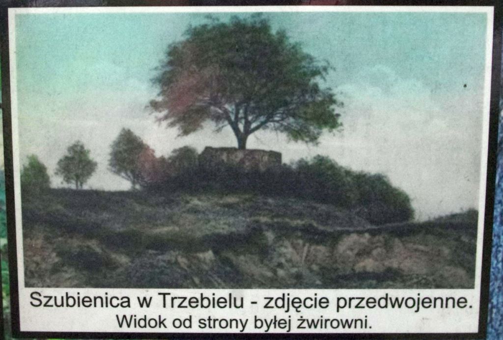 Zdjęcie przedstawiające szubienicę w okresie przedwojennym. Fot. Archiwum Nadleśnictwa Lipinki.