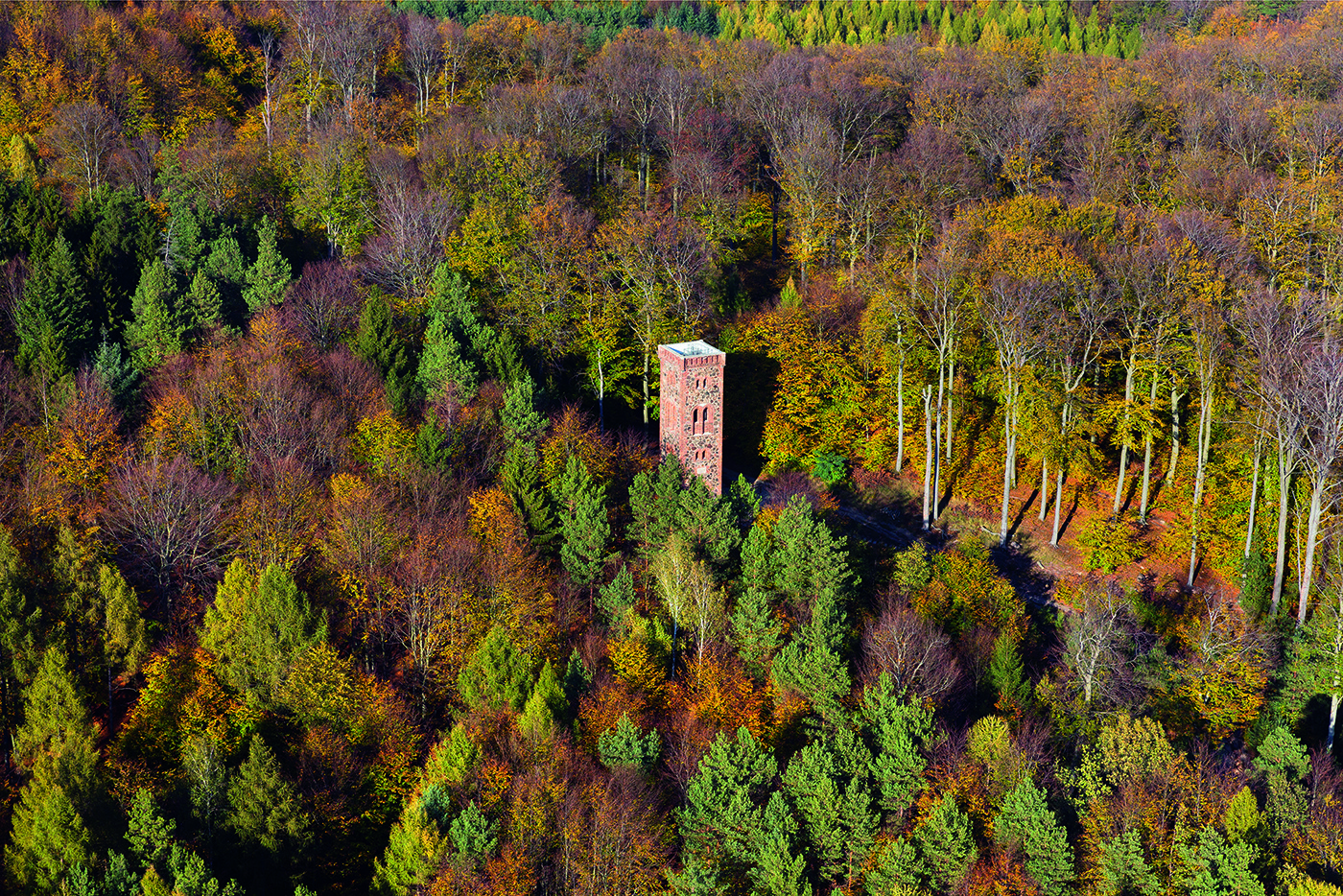 Zdj. 2. Nasza sztandarowa atrakcja turystyczna - wieża widokowa z Zielonym Lesie (fot. Krzysztof Moroz)