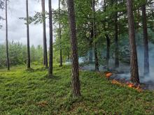 Akcja w ochronie przeciwpożarowej