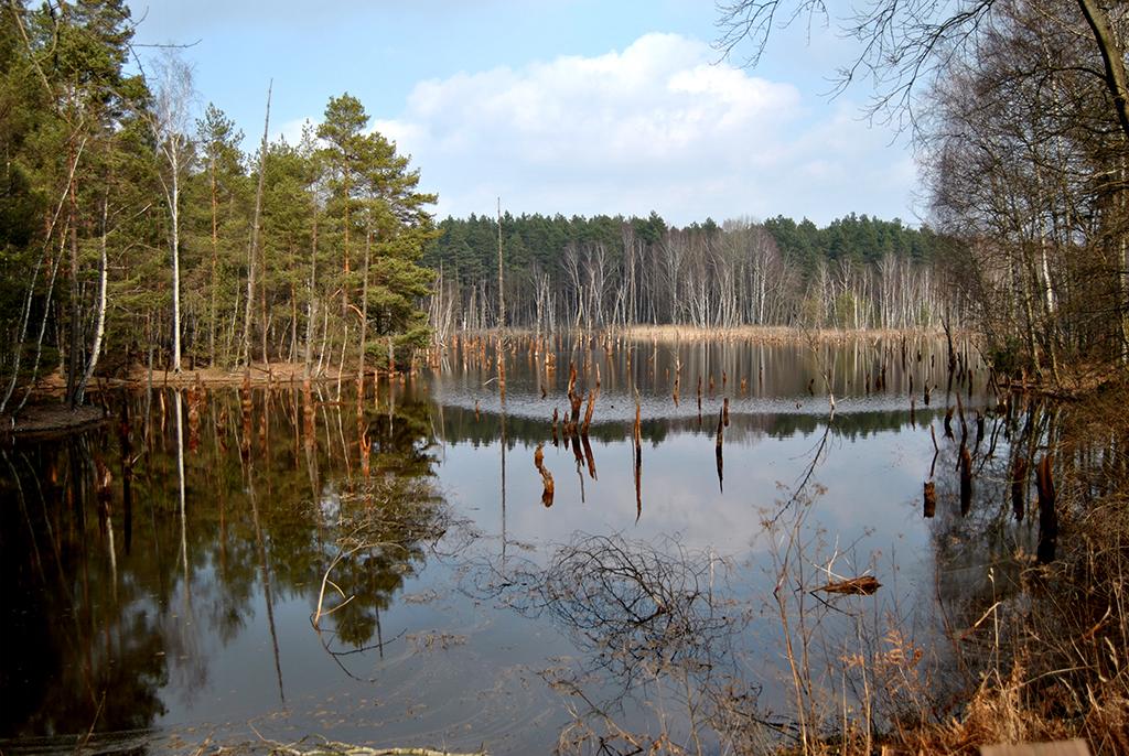 Zbiornik zapadliskowy w miejscu zlikwidowanych wyrobisk kopalni podziemnej. Fot. Agata Kołodziejczak 